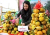 Hà Tĩnh: Lễ hội cam và các sản phẩm nông nghiệp tôn vinh thương hiệu sản phẩm nhà nông