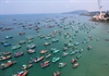 Phú Quốc đón 21.700 lượt khách quốc tế đến đảo trong dịp Tết Kỷ Hợi