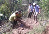 Vụ phá rừng gỗ mun ở Phong Nha – Kẻ Bàng: Tìm thấy 3 hầm gỗ mun ở vườn nhà dân