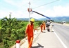 Khánh Hòa: Cần có lộ trình củng cố lưới điện nông thôn