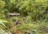 Quảng Ninh: Liên tiếp xảy ra tai nạn với khách du lịch