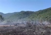 Cháy rừng bạch đàn trên bán đảo Sơn Trà