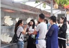 Khánh Hòa: Thu hồi 37 thẻ HDV du lịch quốc tế không rõ nguồn gốc