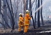 Australia: Không có mối liên hệ giữa cháy rừng và biến đổi khí hậu
