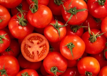 5 sai lầm khi ăn cà chua cực kì tai hại nhiều người mắc phải