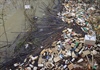 Lâm Đồng thu gom rác thải bảo vệ thực vật