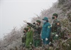 Bộ đội biên phòng Mèo Vạc chống dịch Covid-19 dưới thời tiết băng giá