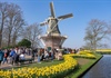 Mê đắm với thiên đường hoa tulip Keukenhof tại Hà Lan