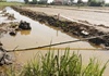 Bình Định: Một trẻ em tử vong do đuối nước vì rơi xuống hố sâu đang thi công