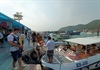 Khánh Hòa: Đề nghị đóng cửa bến thủy nội địa Bến tàu du lịch Cầu Đá