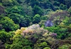 Đà Nẵng trồng cây xanh tạo điểm nhấn cho bán đảo Sơn Trà