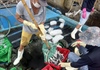 Quảng Ngãi: Hàng trăm tàu cá hối hả quay đầu vào bờ để bán cá chạy bão