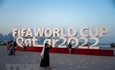 World Cup 2022: Qatar đài thọ toàn bộ chi phí cho nhiều cổ động viên Bỉ