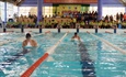 Hơn 230 vận động viên tranh tài Giải bơi – lặn vô địch quốc gia bể 25m