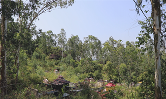 Di tích quốc gia Núi đá Phú Thọ bị xâm phạm nghiêm trọng