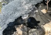 Đắk Nông: Người dân “lo lắng” khi dòng suối Đá Bàn ở huyện Cư Jút chuyển màu đen, bốc mùi hôi thối