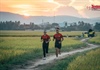 Giải vô địch quốc gia Marathon và cự ly dài Báo Tiền Phong lần thứ 65 diễn ra tại Phú Yên