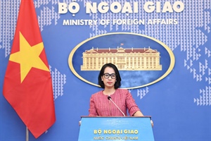 Việt Nam hoan nghênh Nghị quyết về việc ngừng bắn tại Dải Gaza